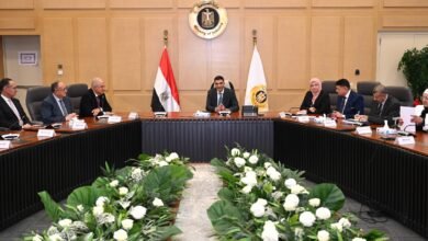 الصناعة في مواجهة المتغيرات العالمية.. تحركات حكومية عاجلة لدعم المصنع المصري 5