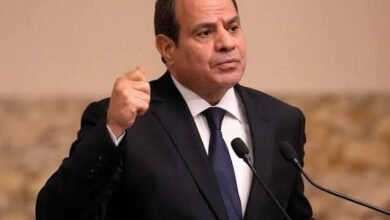 " الرئيس السيسي" يؤكد لإيران رفض مصر التام لاستهداف دول الخليج والأردن والعراق 6