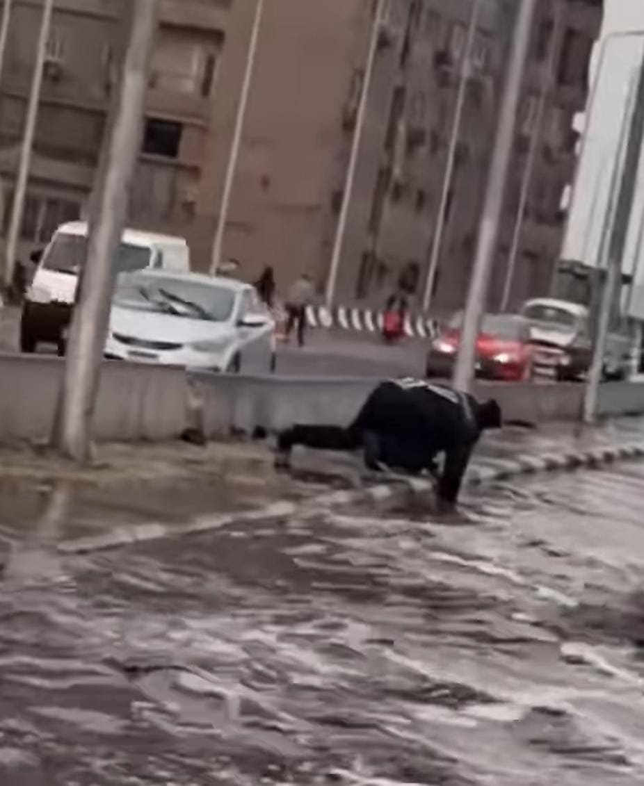 من قلب المطر.. أمين شرطة يضرب أروع مثال في التفاني والإخلاص 1