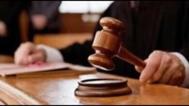 تأجيل محاكمة المتهم بدهس الطفل ياسين في حلوان إلى 2 ابريل 5