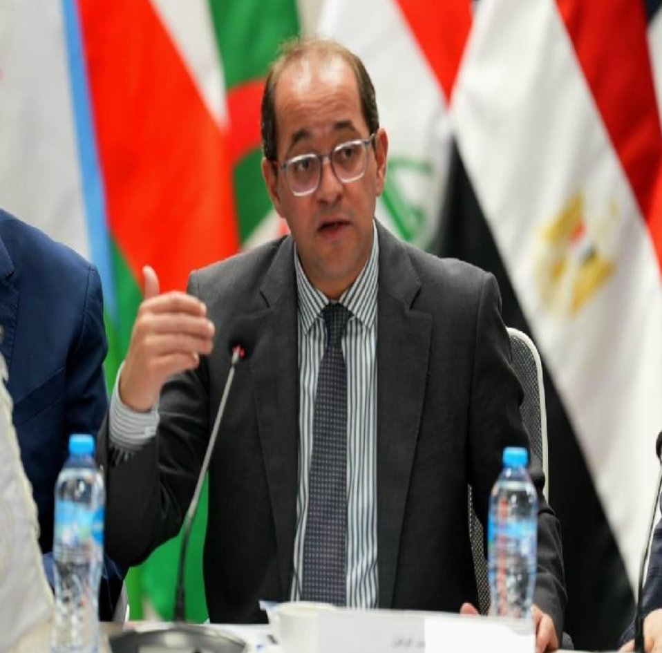 وزير المالية يعلن عن منح شحنات "الترانزيت العابر" تسهيلات جمركية استثنائية بالموانئ المصرية. 1