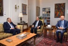 وزير الخارجية يتابع تحركات مصر النشطة بمجلس حقوق الإنسان الدولى 17