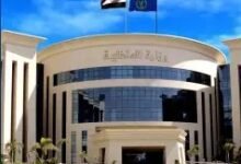 ضبط حارس عقار بتهمة التعدي على الكلاب الضالة بعصا خشبية في الجيزة 17