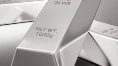 الفضة ترتفع 1.2% محليًا و11% عالميًا خلال فبراير بدعم الطلب الاستثماري 2