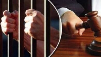 عاهة مستديمة بسلاح أبيض.. السجن المشدد لـ3 عاطلين بشبرا الخيمة 11