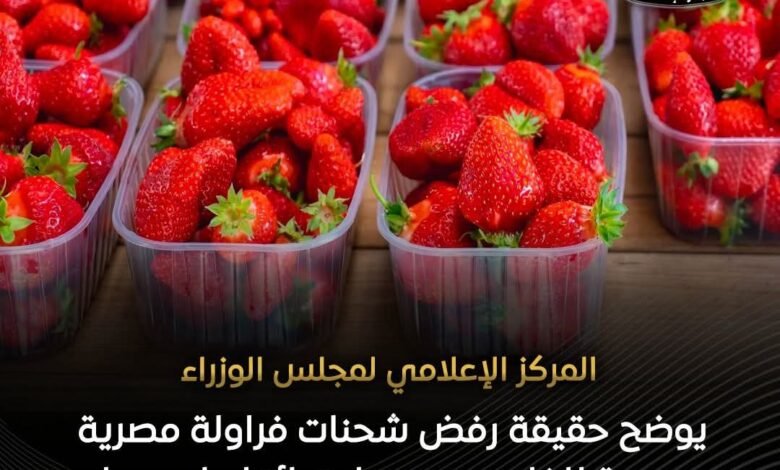 وزراة الزراعة تكشف الحقيقة.. لا صحة لرفض شحنات فراولة مصرية 1