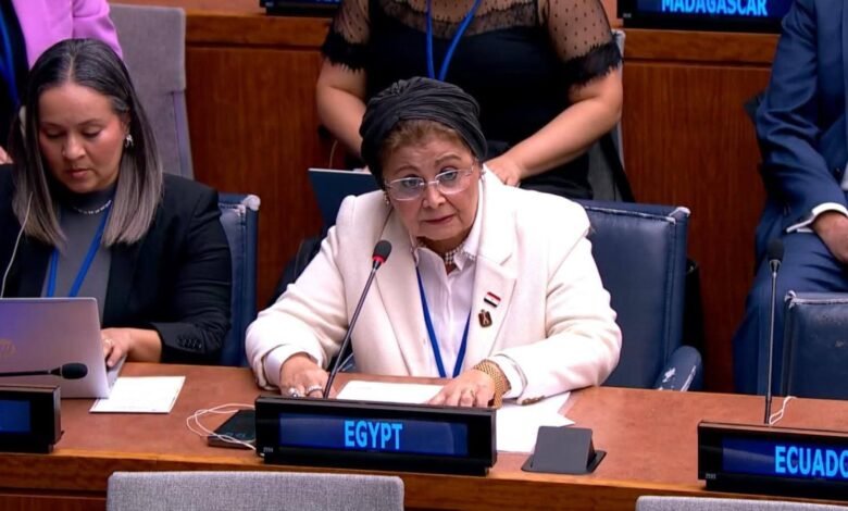 نائب وزير الصحة تستعرض إنجازات مصر السكانية عالمياً.. ورسائل قوية من نيويورك 1