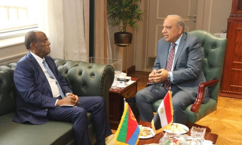 خطة مصرية إفريقية مشتركة لإنشاء محطات شمسية بإريتريا 1