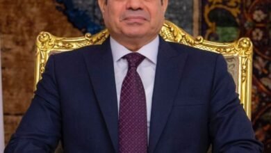 السيسي يوجه بسرعة طرح مشروعات قوانين الأسرة.. وتحركات برلمانية مرتقبة 5