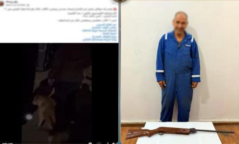 فيديو صادم بالإسماعيلية.. واقعة تعدٍ على كلاب ضالة تثير الجدل 1