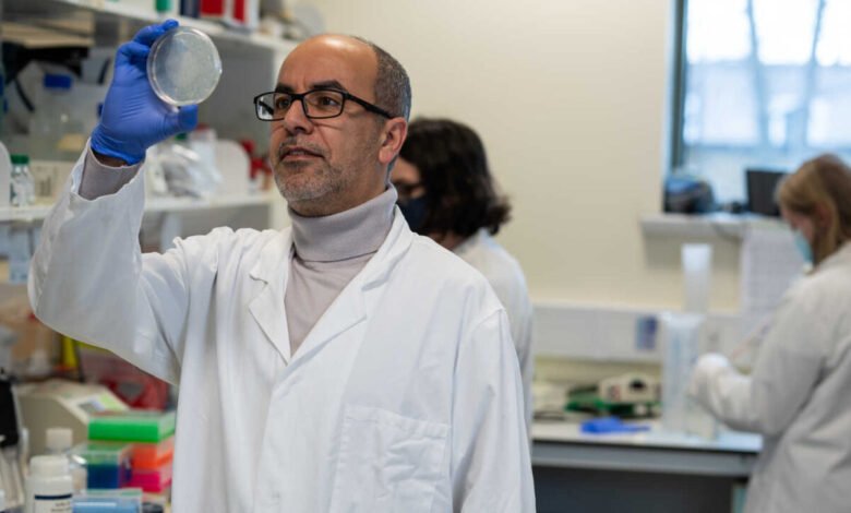 بريطانيا تكرم العالم المغربي ميمون عزوز للعلاج الجيني 1