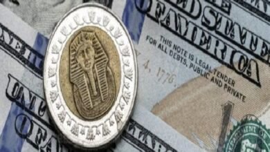 استقرار لسعر الدولار في البنوك المصرية رغم اجازة شم النسيم 3