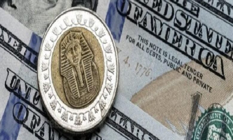 استقرار لسعر الدولار في البنوك المصرية رغم اجازة شم النسيم 1