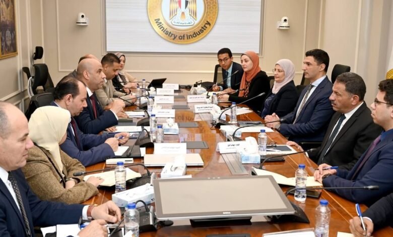 وزيرا الصناعة والعمل يبحثان التعاون الصناعي والتدريب المهني بمصر 1