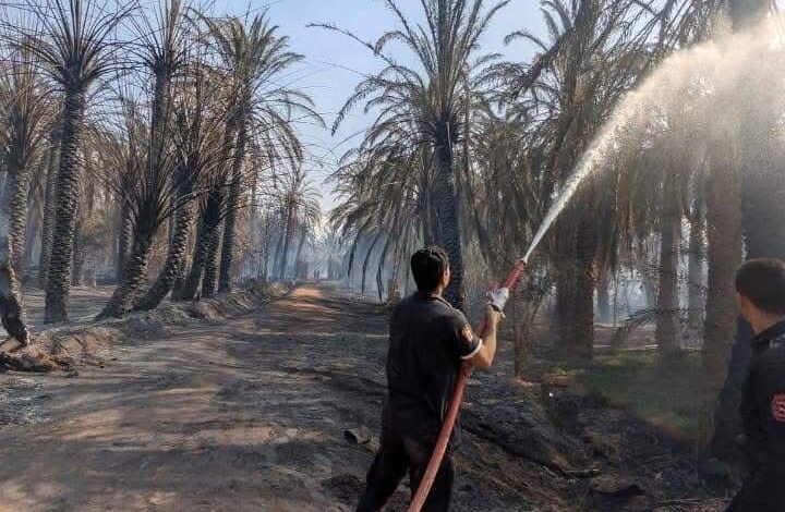 السيطرة على حريق بقرية " العوينة "فى الداخله بالوادى الجديد 1