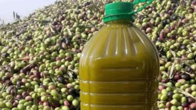 المغرب يتقدم ستة مراكز في ترتيب موردي زيت الزيتون إلى إسبانيا 5