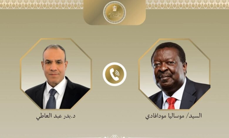 إتصال رفيع المستوى بين مصر ونيروبي.. ملفات ساخنة على طاولة النقاش 1
