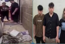 بعد تداول الفيديو.. ضبط سيدة ونجليها بتهمة التعدي على جارهم وإصابته في قليوب 104