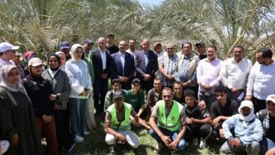 نائب محافظ الوادي الجديد يشهد انطلاق التدريب الصيفي لطلاب كلية الزراعة بمزارع نخيل الشركة 55 بالخارجة 2