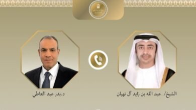 وزير الخارجية يبحث هاتفياً مع نظيره الإماراتي أبرز التحديات والملفات الإقليمية 8