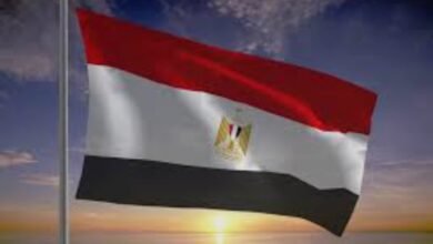 مصر تستضيف أكثر من 270 مركزًا للتعهيد لتقديم خدماتها في مختلف أنحاء العالم. 29