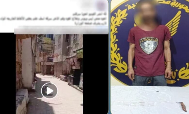 شقيقه فضحه بالفيديو.. ضبط عاطل بحوزته مخدرات وسلاح أبيض بعد واقعة مروعة بالقليوبية 1
