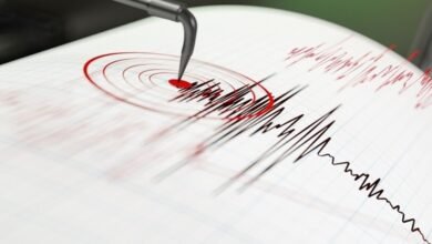 زلزال المكسيك بقوة 7.4 درجة الذي ضرب منطقة بويرتو ماديرو وحذر من تسونامي