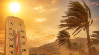 خريطة توضح توقعات طقس المغرب غداً مع موجة حر ورياح قوية في عدة مناطق