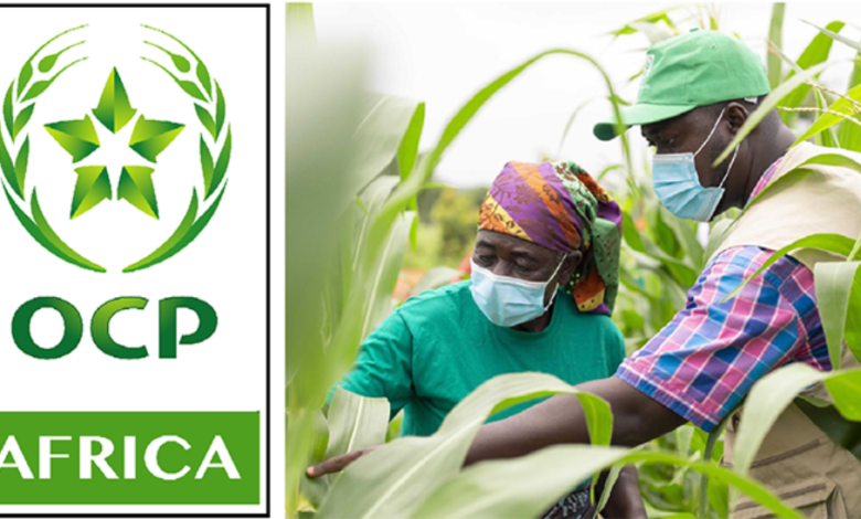 OCP Africa تطلق منصة ذكاء اصطناعي لمراقبة الإنتاج الزراعي في نيجيريا