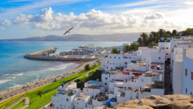 خريطة توضح توزيع درجات الحرارة والأحوال الجوية المتوقعة في طقس المغرب اليوم الجمعة 24 يوليو 2026