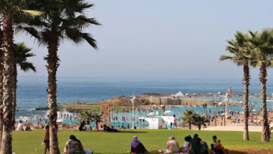 خريطة الأرصاد الجوية توضح طقس المغرب اليوم السبت 25 يوليو 2026 مع موجة حرارية