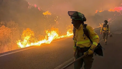 طائرات الإطفاء تكافح حرائق قياسية تجتاح إسبانيا في مناطق مدريد وآبيلا