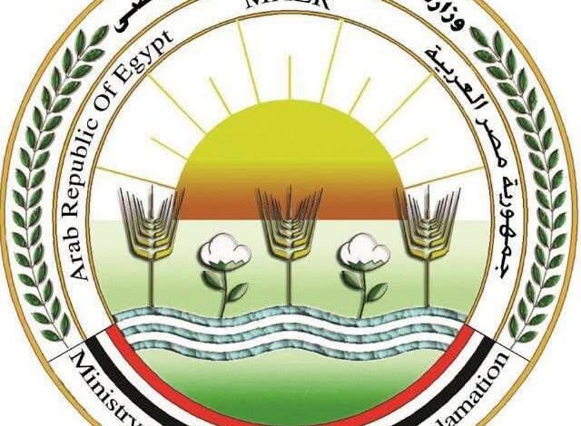 وزارة الزراعة تحسم الجدل: لا وباء للجلد العقدي.. تحصين 4 ملايين رأس ماشية و90 ألف حملة ميدانية 1