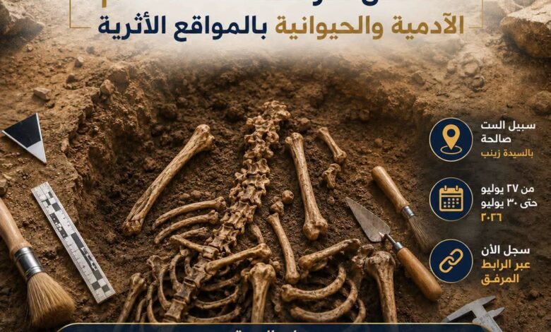 المجلس الأعلى للآثار يفتح باب التسجيل لدورة متخصصة في دراسة العظام الأثرية.. فرصة نوعية لآثاريي القاهرة والجيزة 1