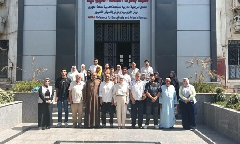 "بحوث الصحة الحيوانية" يؤهل صغار المربين في 10 محافظات لمواجهة أخطر أمراض الماشية 1