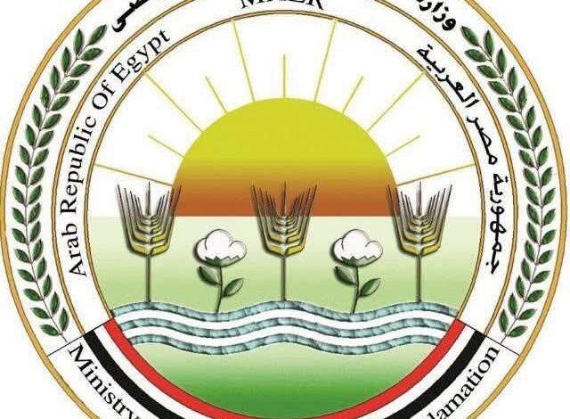 «حقيقة صادمة».. وزارة الزراعة تحسم الجدل بشأن فيديو زيادة وزن الموز 80%: «ادعاءات غير علمية تثير البلبلة» 1