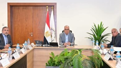 تحذير مبكر من تطورات فيضان النيل.. مصر تراقب السد الإثيوبي لحظة بلحظة والسد العالي في حالة جاهزية كاملة 5