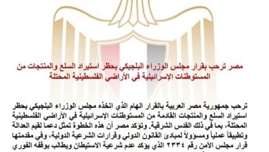 مصر تشيد بقرار بلجيكا التاريخي ضد المستوطنات الإسرائيلية.. وتدعو أوروبا لاتخاذ الخطوة نفسها 2