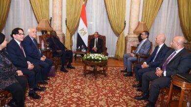مصر تحسم موقفها: لا استقرار في الشرق الأوسط دون استعادة الفلسطينيين كامل حقوقهم 63