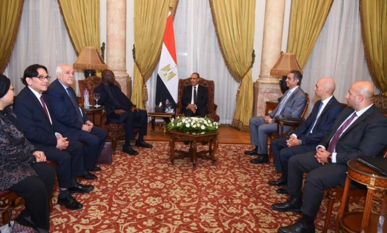 مصر تحسم موقفها: لا استقرار في الشرق الأوسط دون استعادة الفلسطينيين كامل حقوقهم 1
