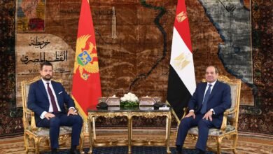 في زيارة تاريخية للقاهرة.. السيسي وميلاتوفيتش يبحثان الإقتصاد والإستثمار وأزمات المنطقة 2