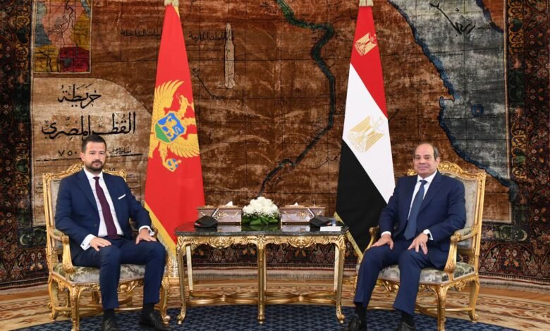 في زيارة تاريخية للقاهرة.. السيسي وميلاتوفيتش يبحثان الإقتصاد والإستثمار وأزمات المنطقة 1