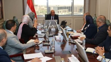 الكهرباء والوادي الجديد تبحثان التوسع في الطاقة الشمسية وتأمين احتياجات التنمية 19