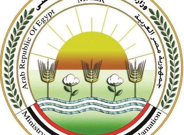 الزراعة تُطلق أكبر تدريب إلكتروني لتطوير الثروة الحيوانية.. 70 أخصائيًا يقودون نقلة نوعية في القرى المصرية 1