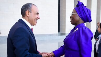 في اليوبيل الذهبي للعلاقات.. مصر وموزمبيق تطلقان شراكة جديدة وتستعدان لزيارة رئاسية تاريخية 3