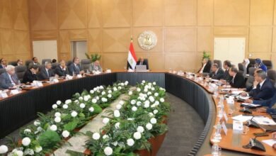 وزير الكهرباء: لا تهاون مع الأجهزة المهدرة للطاقة.. وتشديد الرقابة على الأسواق لحماية الإقتصاد 2