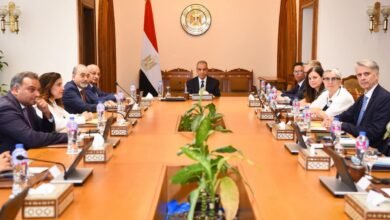 "وزير الخارجية" يكشف أمام وفد أوروبي أبرز إنجازات مصر في ملف حقوق الإنسان 5