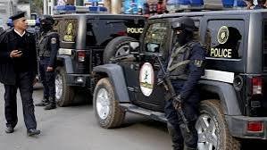 بعد مداهمة أمنية مكبرة بالقليوبية.. سقوط 4 عناصر إجرامية وضبط وكر للإتجار بالمخدرات 81