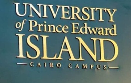 عاجل..مجلس الوزراء يوافق على إنشاء مؤسسة جامعية باسم الجامعات الكندية في مصر 1