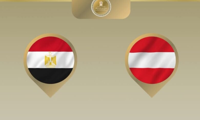 وزير الخارجية يبدأ تحركاً دبلوماسياً جديداً من فيينا.. وملفات إقليمية على الطاولة 1